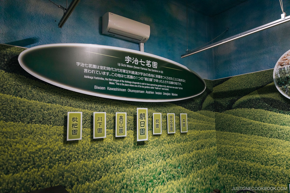 A museum display showing how green tea leaves are cultivated