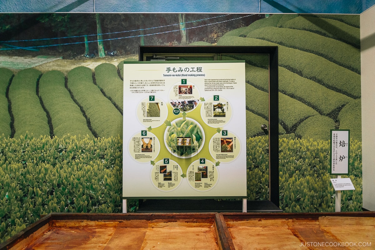 Display showing how green tea is made using hands