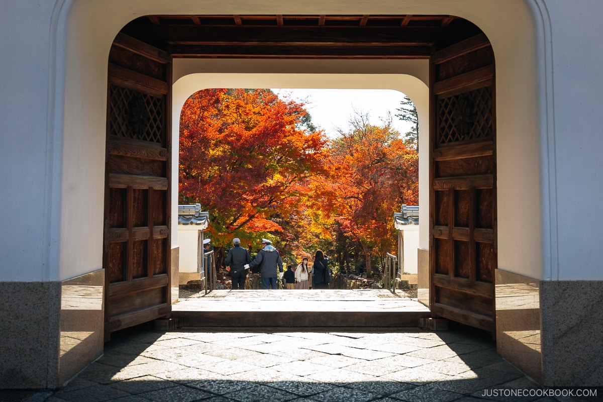 Temple gate entrance looking through to autumn leaves