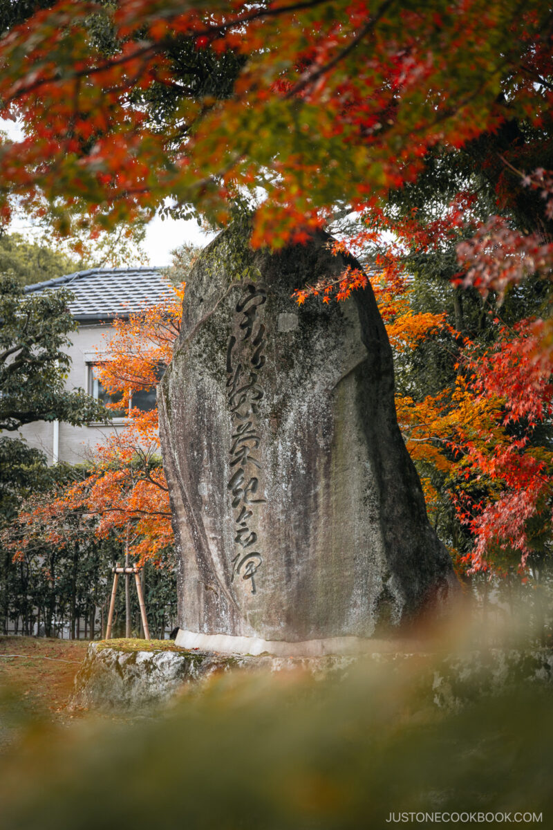 Stone monument surrounded by autumn leaves
