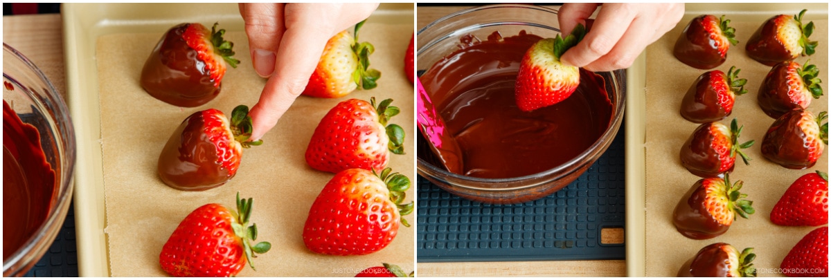 Chocolate Covered Strawberries 8