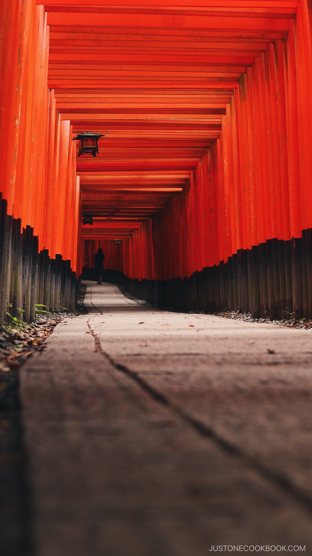 Fushimi Inari Torii gates