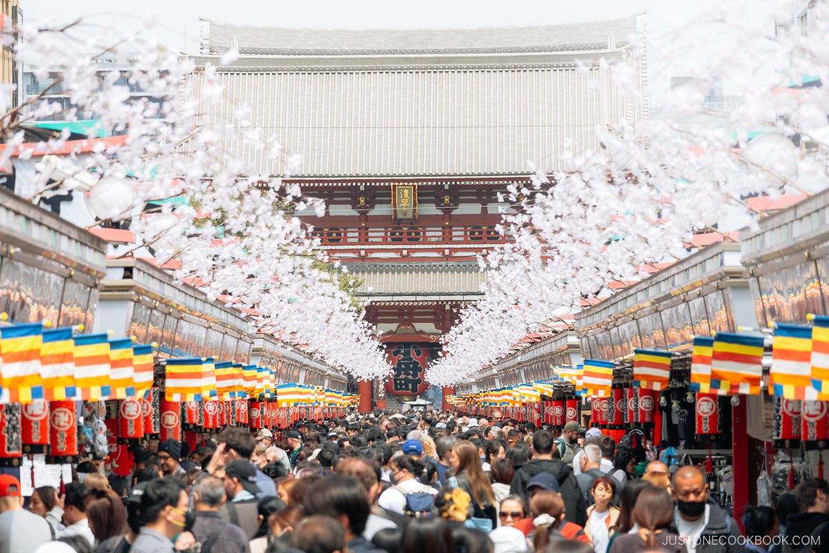 Shopping street leading to temple