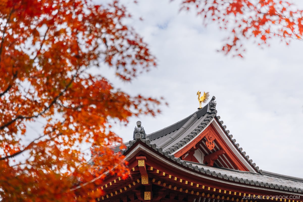 Golden pheonix on temple roof next to autumn leaves