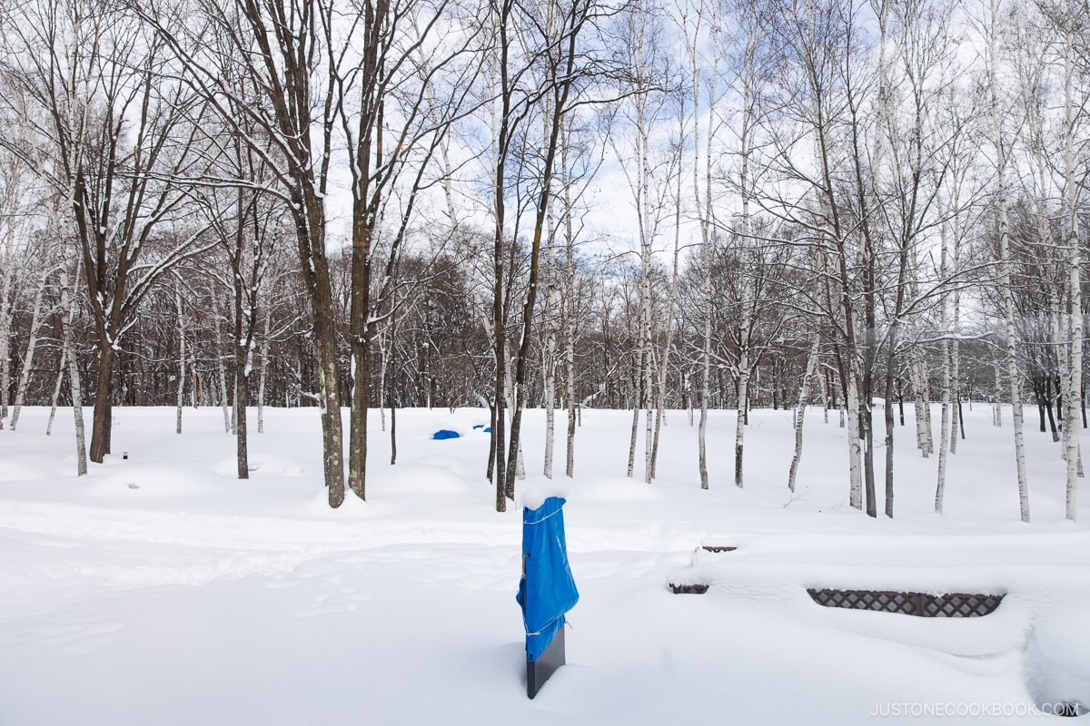 Snow covered field