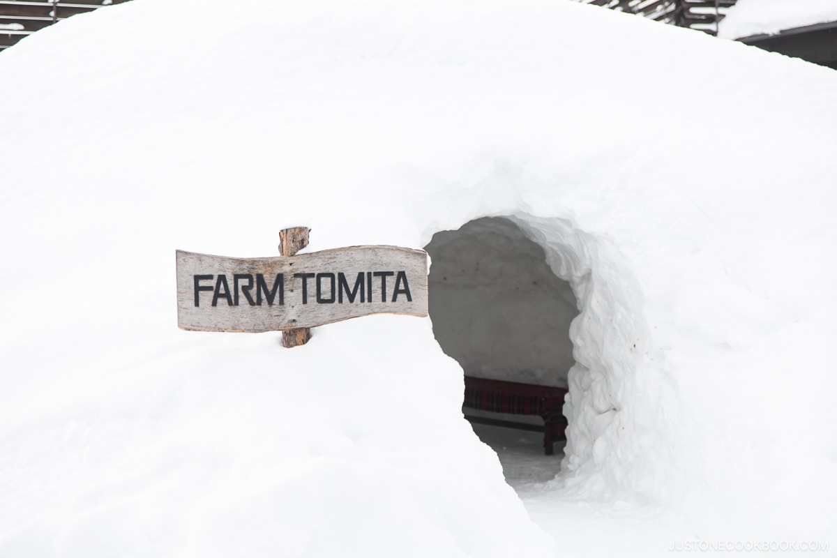 Igloo at Farm Tomita