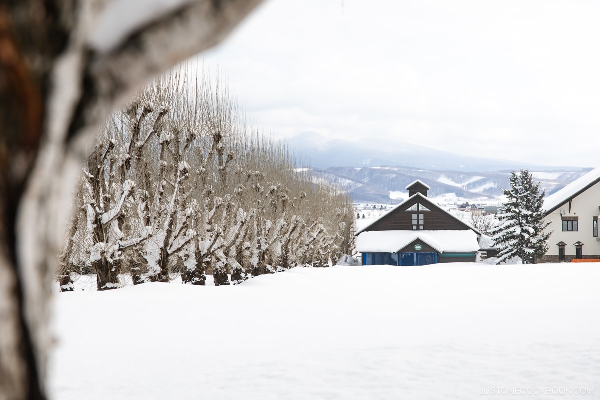 Farm Tomita covered in snow