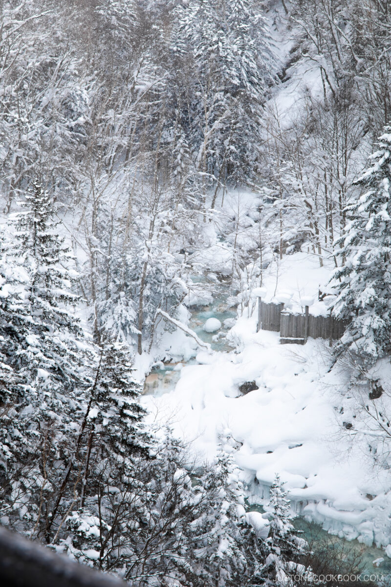 River lined with snow and snowy trees