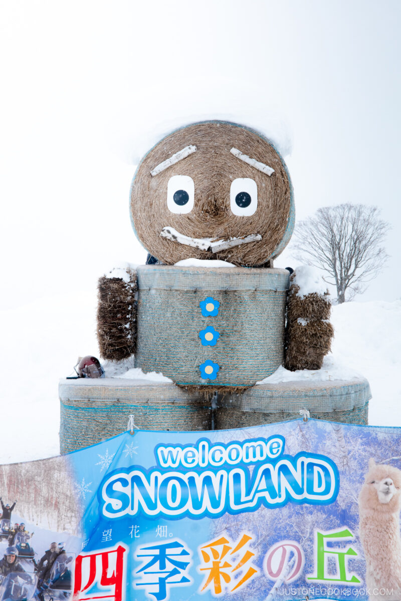 Character made from hay bale and snow