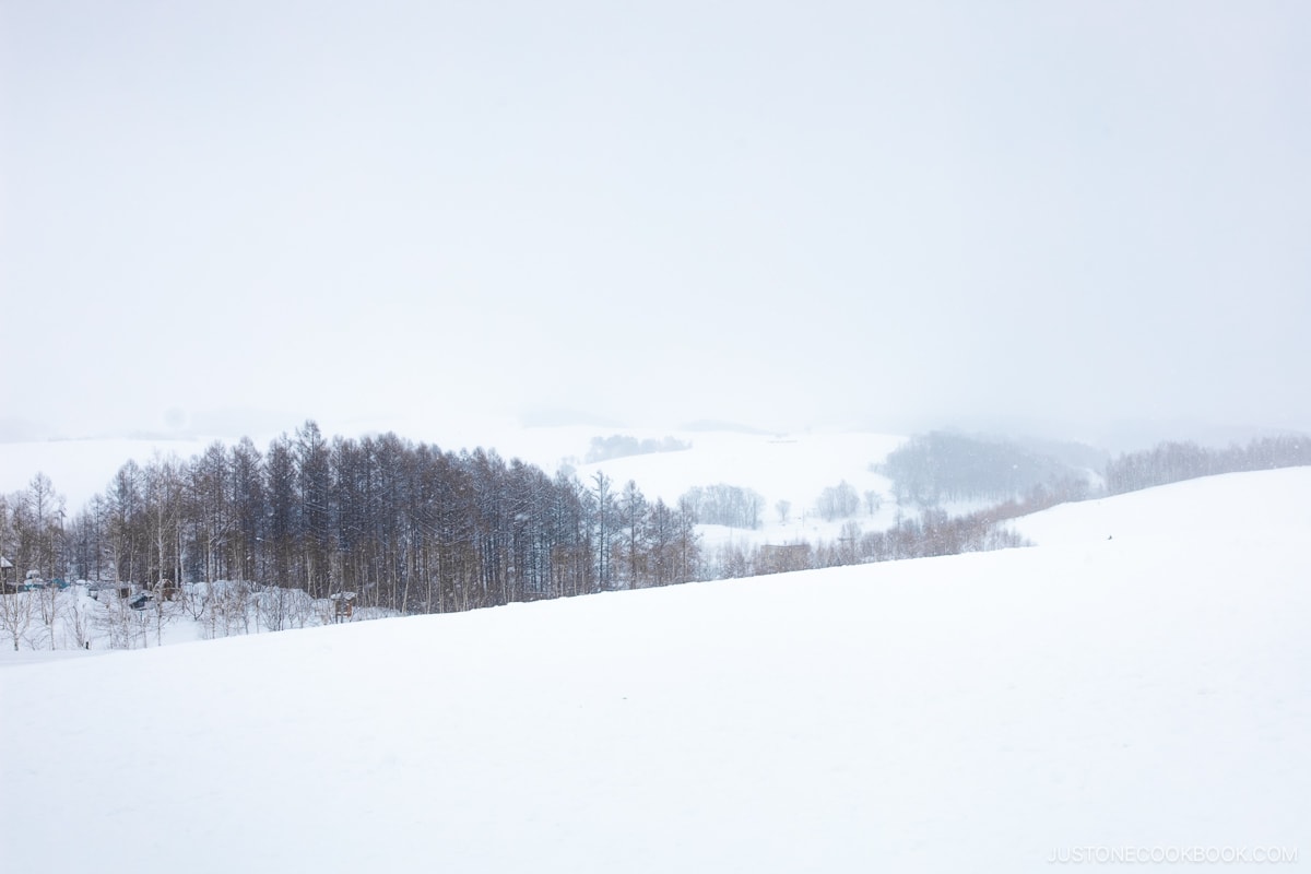 Snowy fields and hills in Biei
