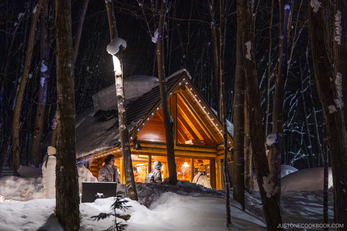 Wooden lodge shops covered in snow