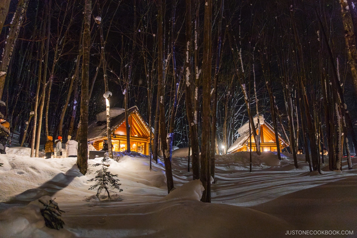 Wooden lodge shops covered in snow