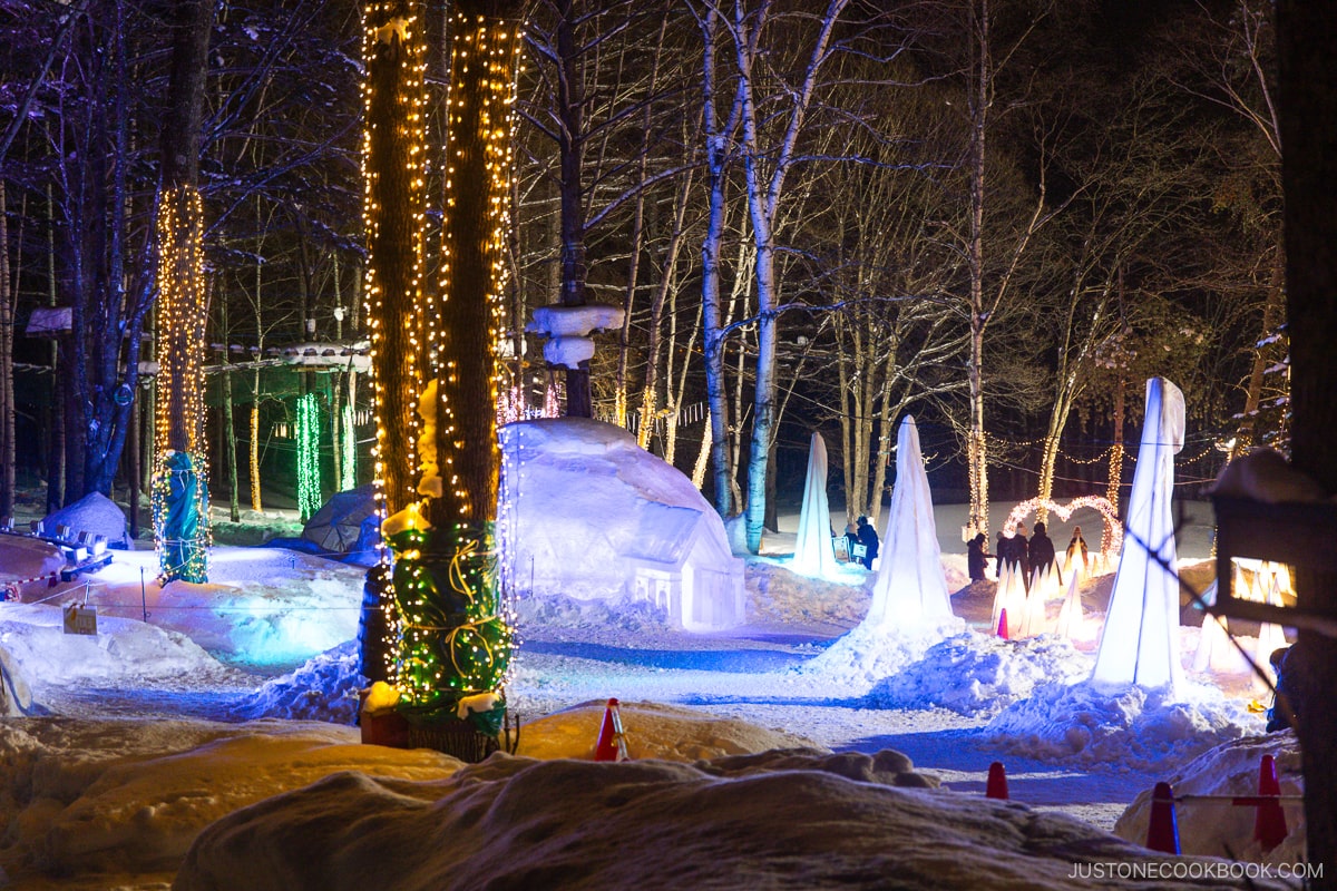 Multi colored winter illuminations and an igloo