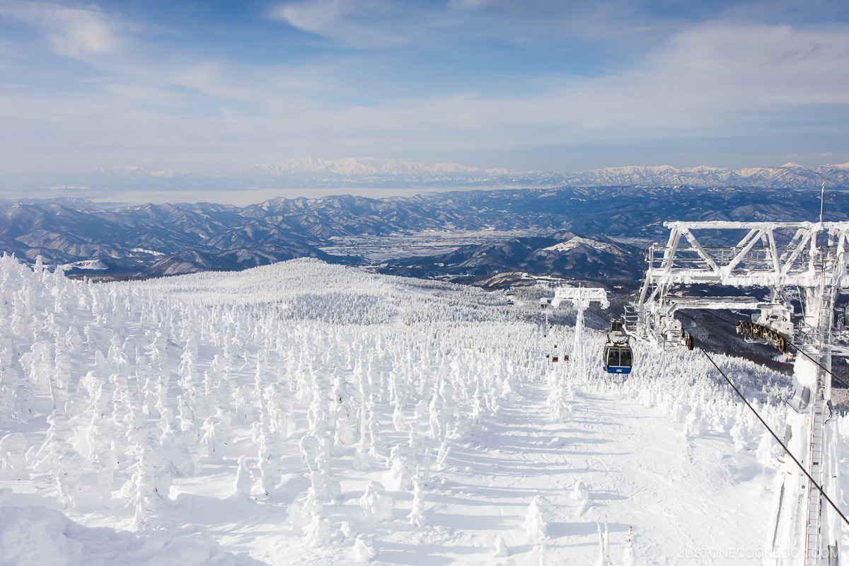 Snow monsters at zao with snowy mountains in the background