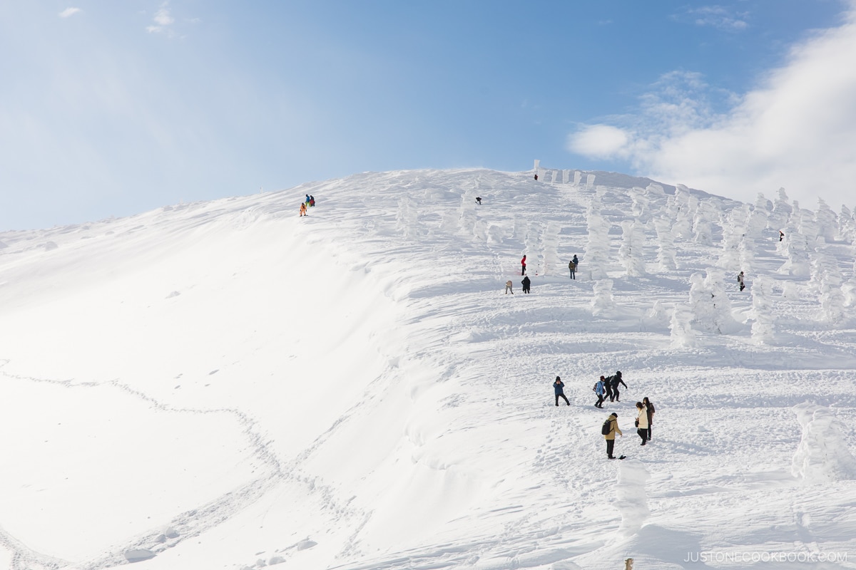 People playing in the snow next to zao snow monsters