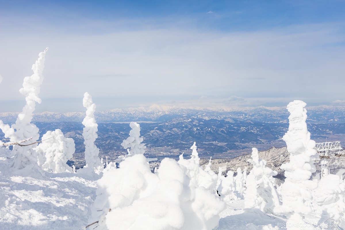 Zao snow monsters with snowy mountains in the background