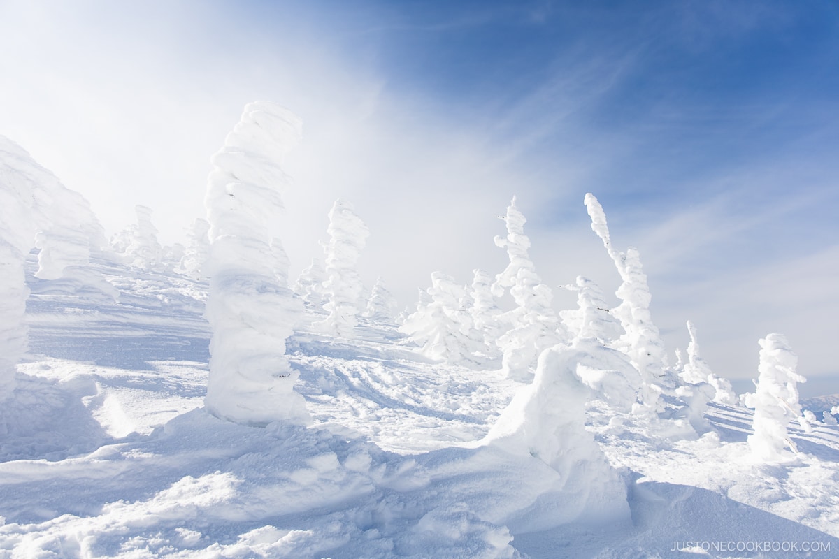 Zao snow monsters