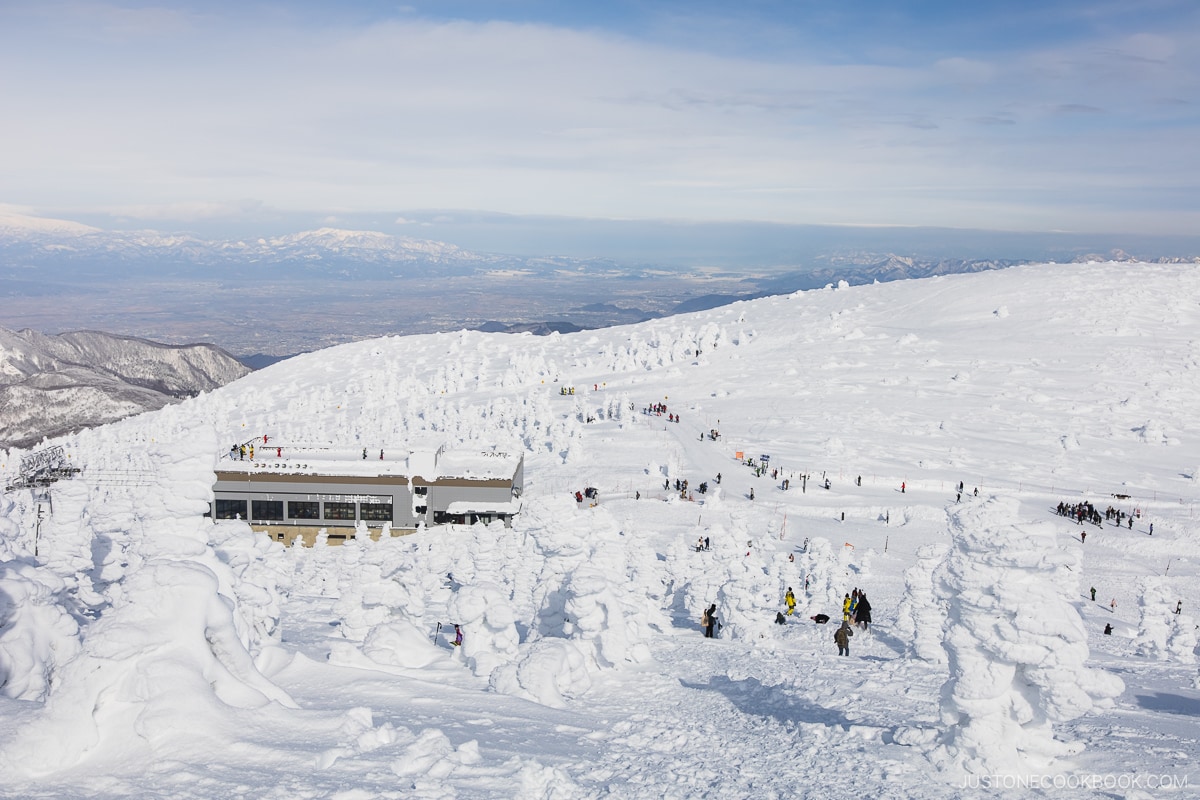 View over snow monsters and gondola station