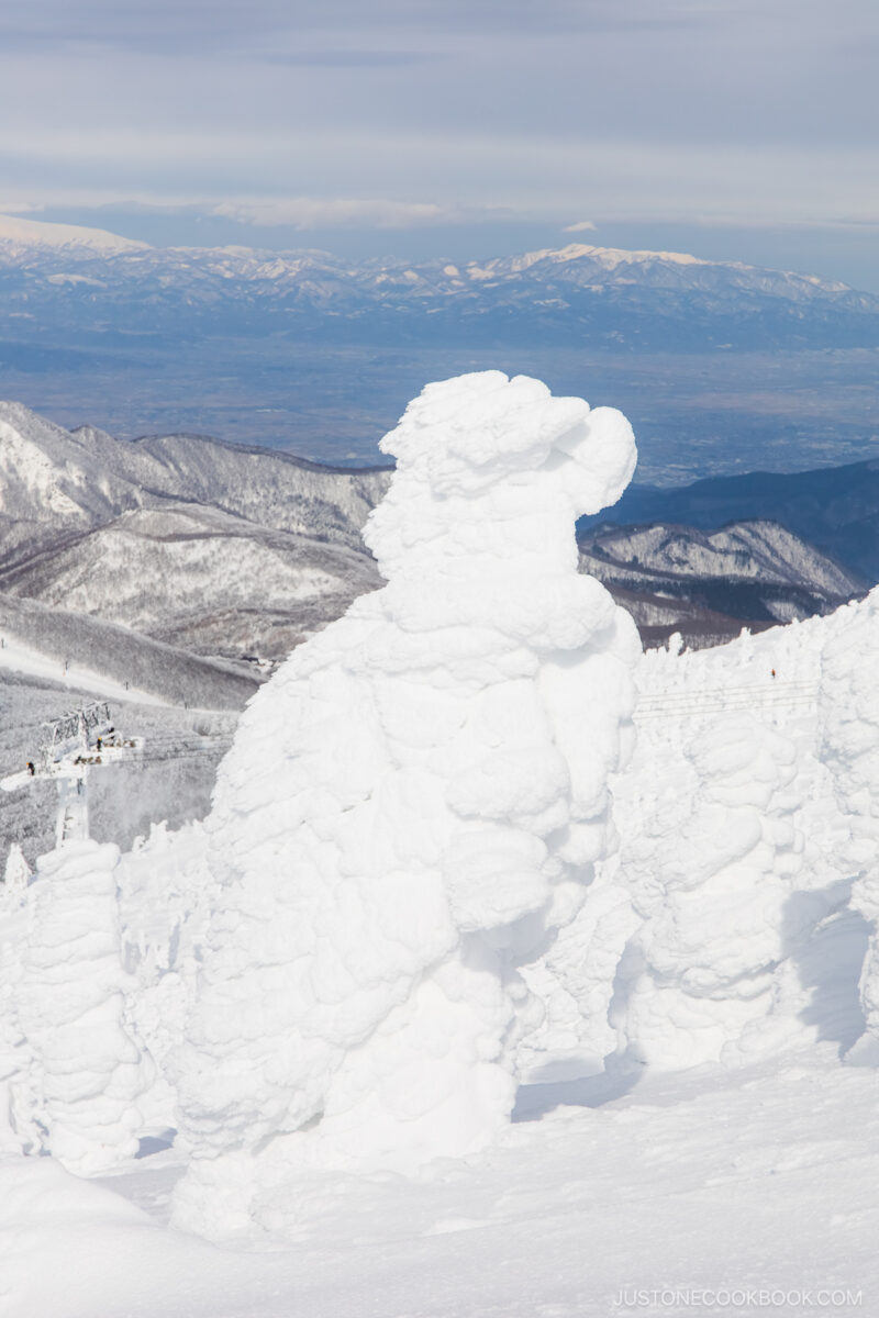 Zao snow monsters