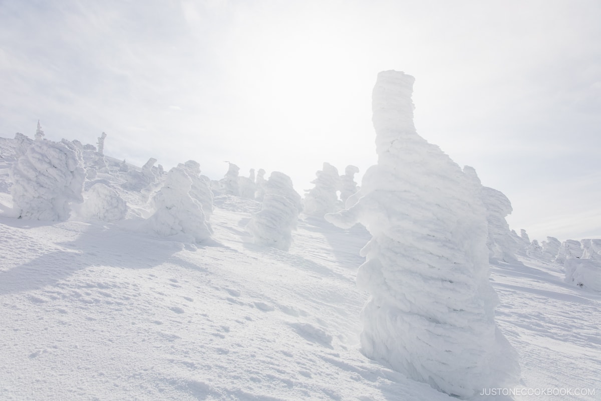 Zao snow monsters