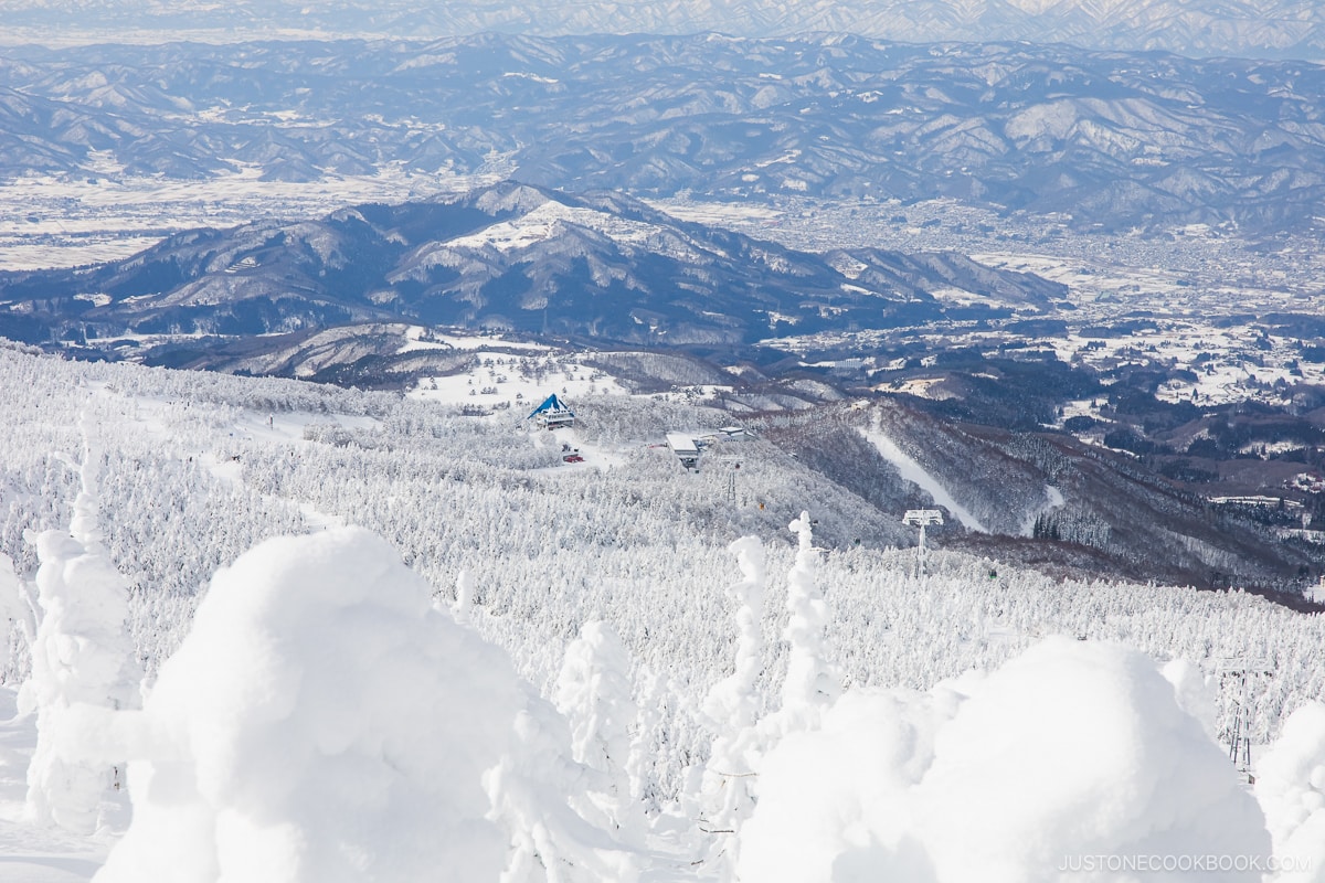 Looking down a smountain covered in zao snow monsters and ski resort at the bottom