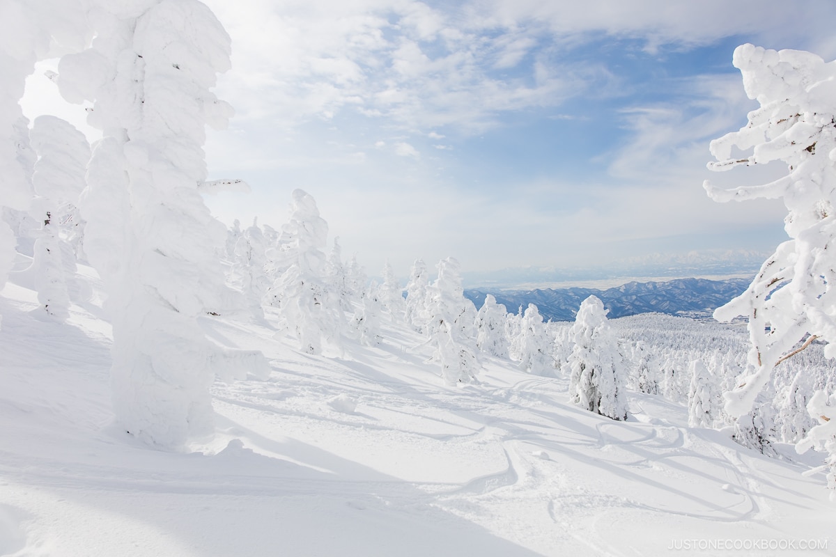 Zao snow monsters