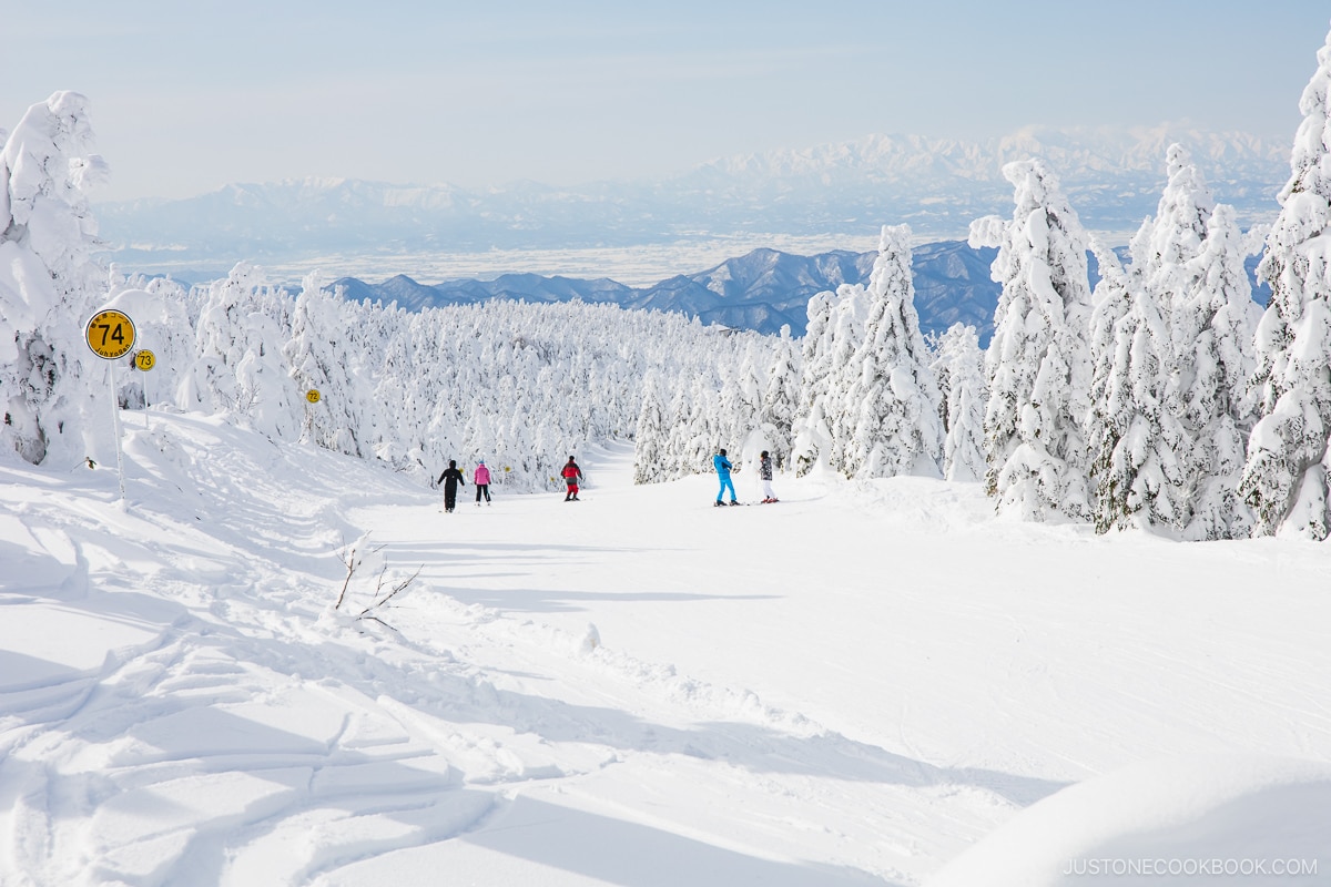 Skiers and snowboarders passing through the slopes lined with zao snow monsters