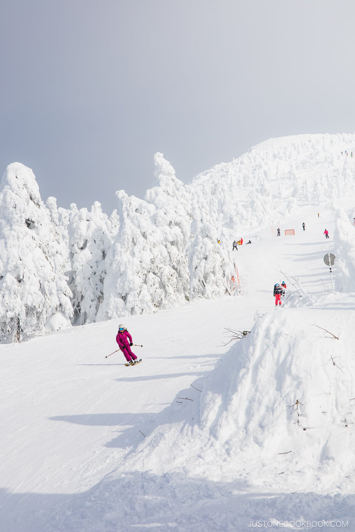 Skiers and snowboarders passing through the slopes lined with zao snow monsters