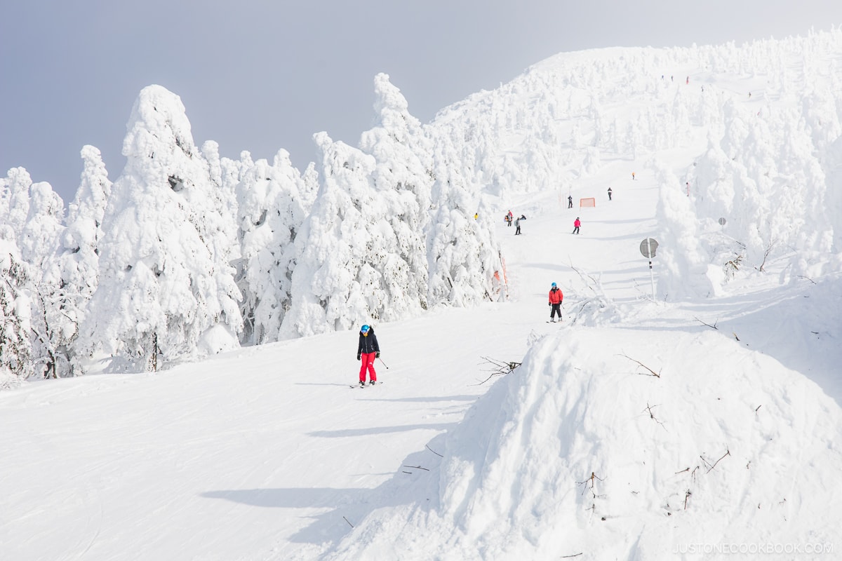 Skiers and snowboarders passing through the slopes lined with zao snow monsters