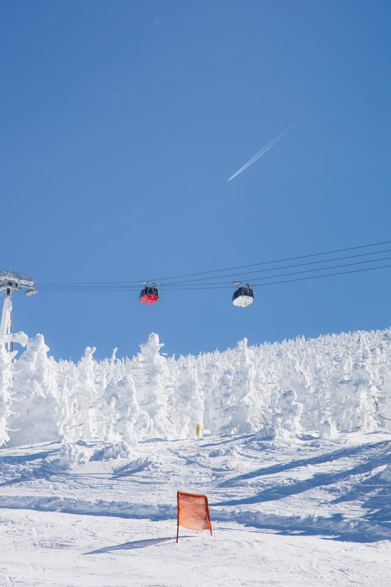 Two cable cars passing each other with a plane flying above