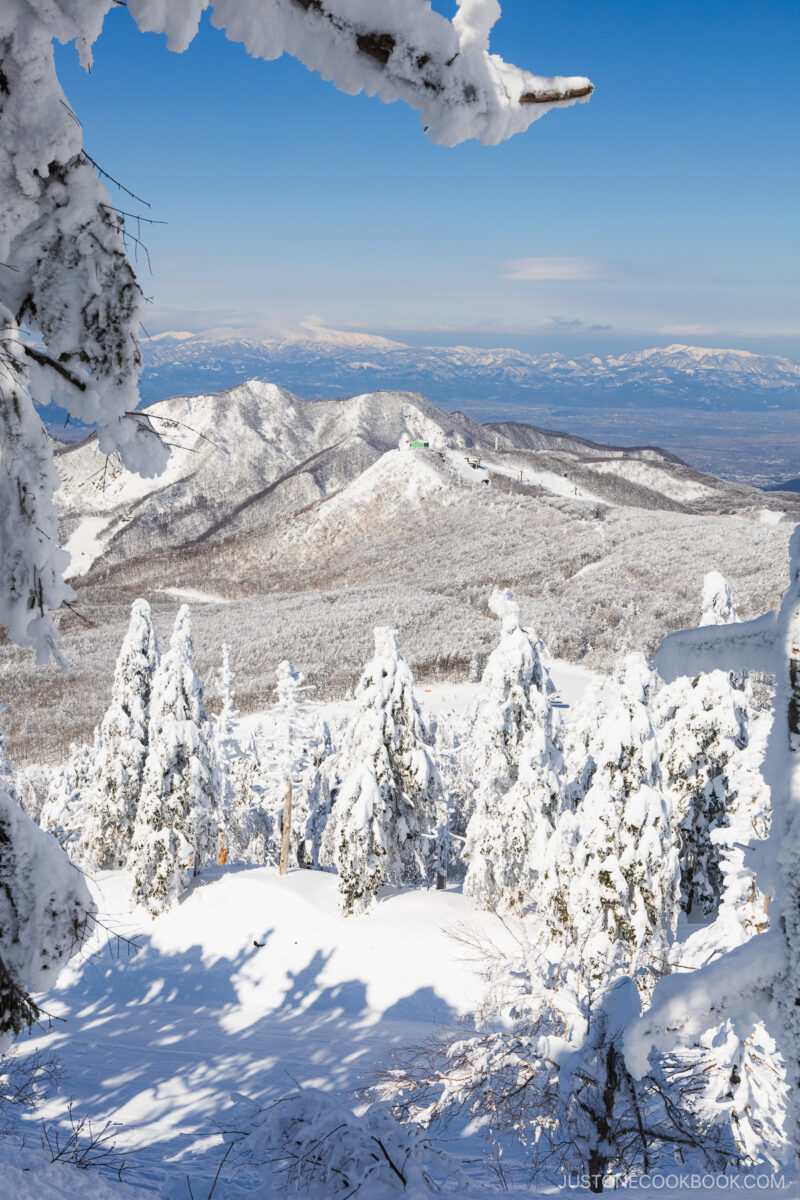 Zao snow monsters with snowy mountains in the background