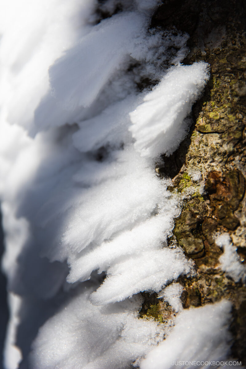 Snow formation detail