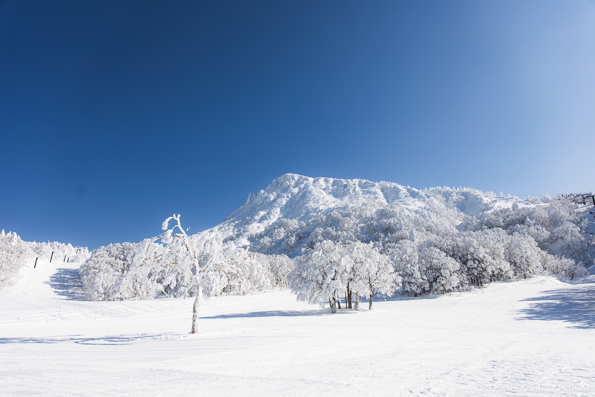 Ski slopes next to snowy mountain