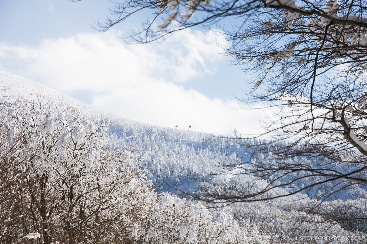 View overlooking gondola and Zao snow monsters