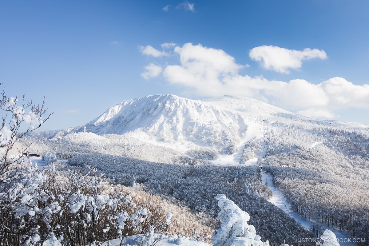 View of Mount Jizo covered in snow at Zao Ski Resort