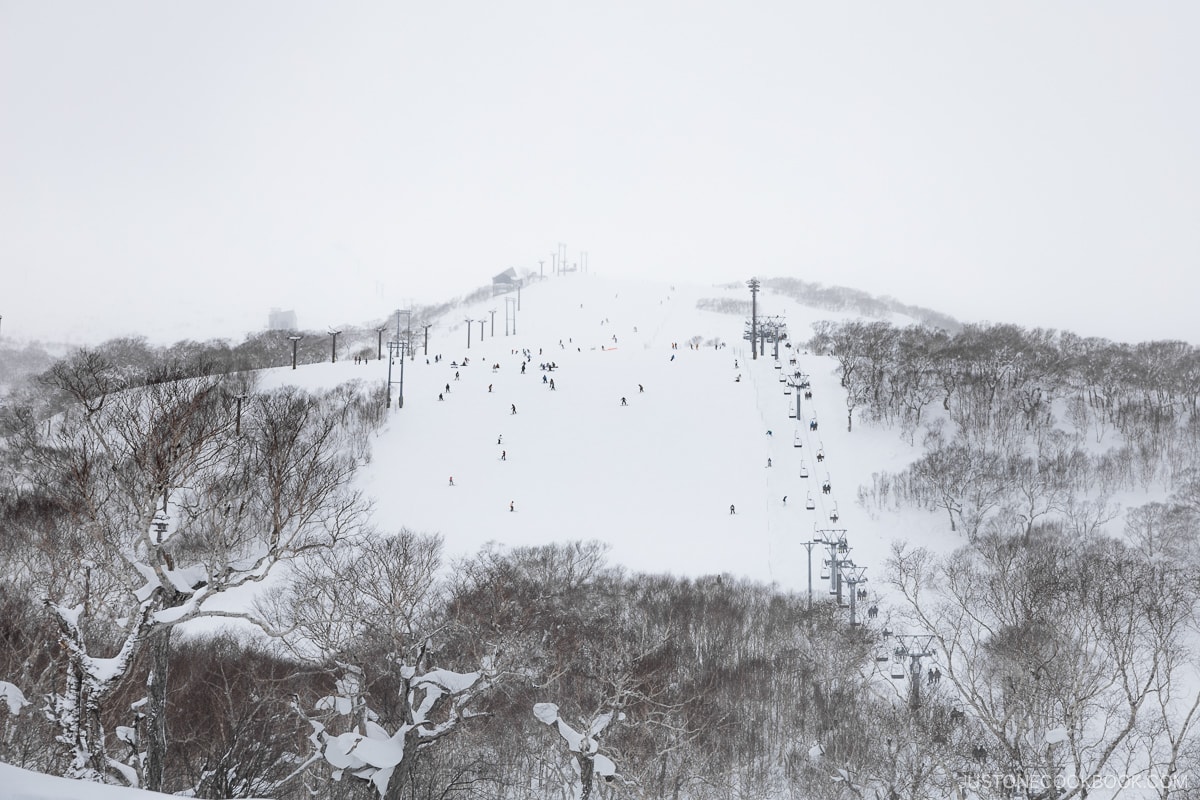 Must Try Winter Activities In Niseko, Japan