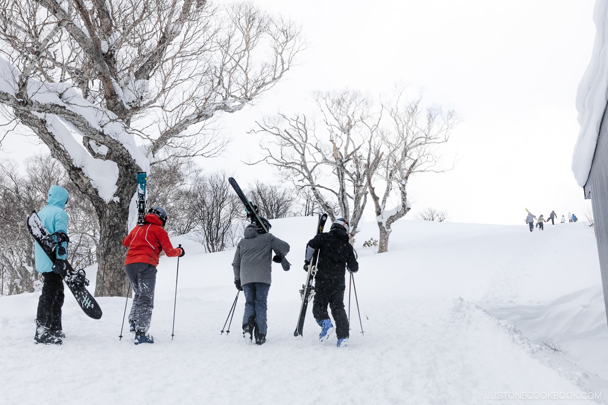 People climbing the snow