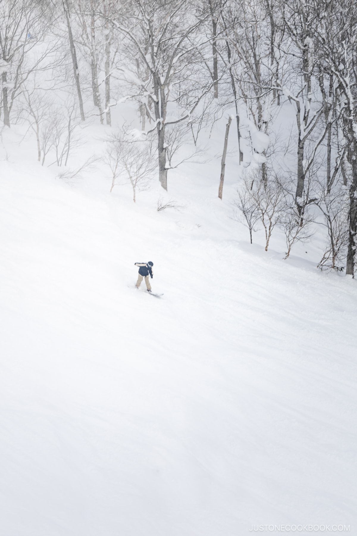 Person snowboarding