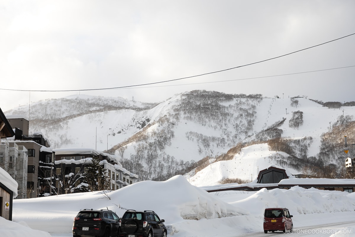 Mt Niseko-Annupuri covered in snow