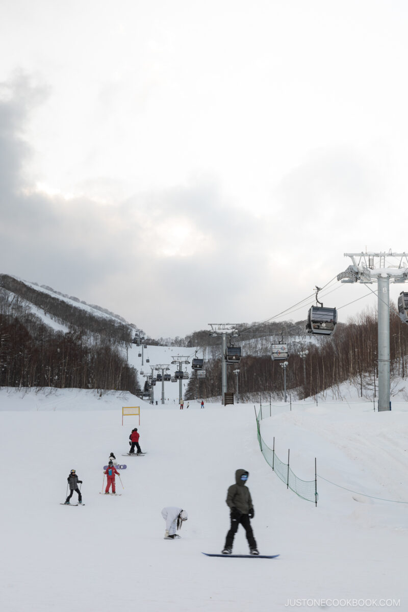 People skiing and snowboard in Hanazono, Niseko