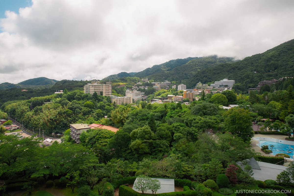 View from Arima Grand Hotel