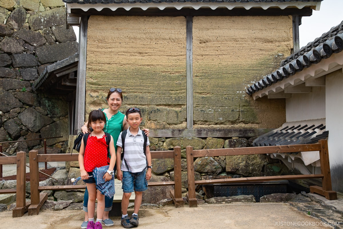 Mud Wall in Himeji Castle using rammed-earth construction