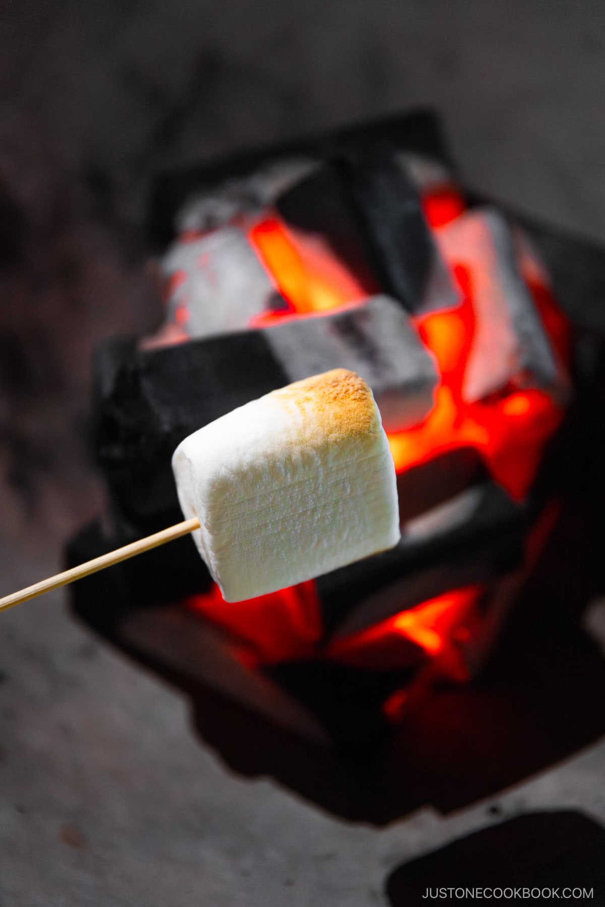 Toasting a marshmallow over a fire