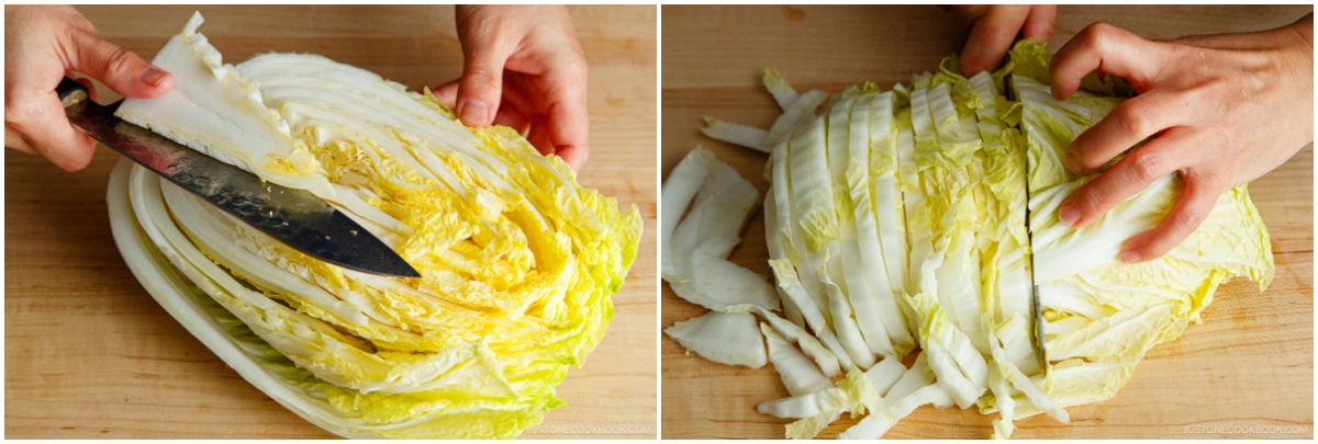 Napa Cabbage Gyoza 1