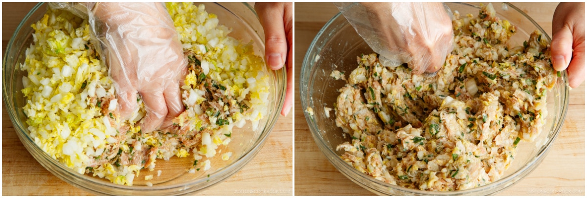 Napa Cabbage Gyoza 10