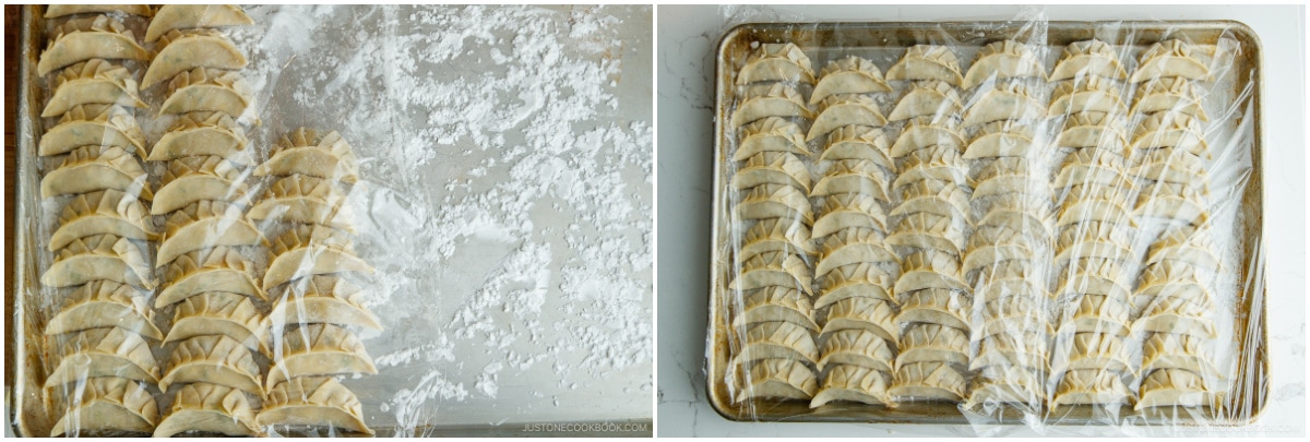 Napa Cabbage Gyoza 20