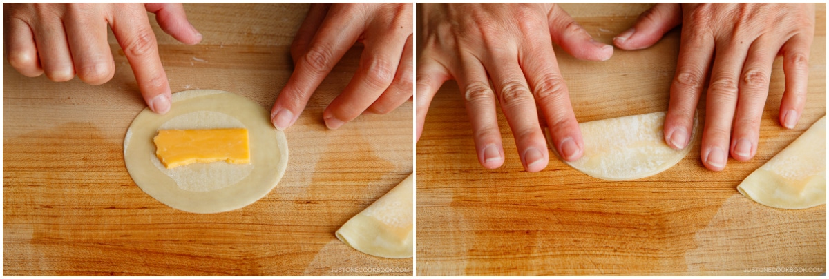 Napa Cabbage Gyoza 23