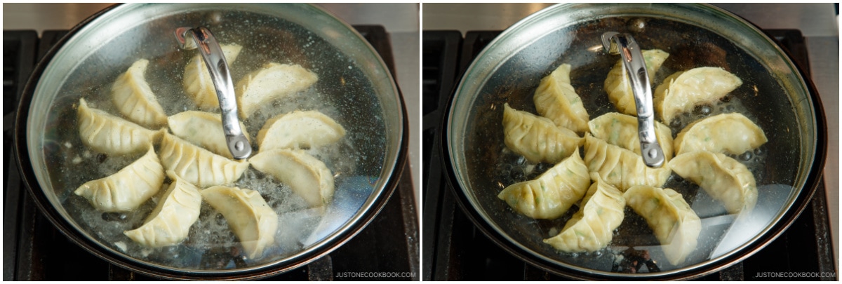 Napa Cabbage Gyoza 26