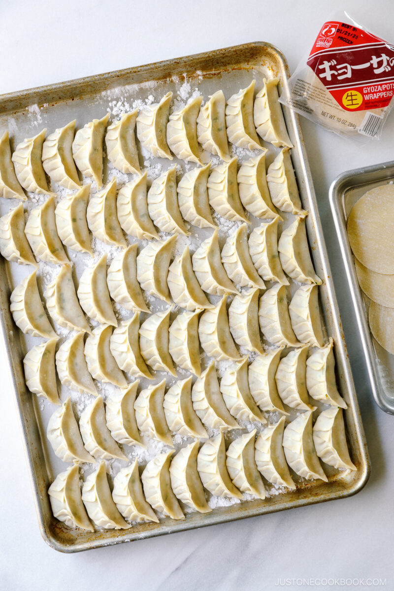 A baking sheet containing perfectly wrapped gyoza.