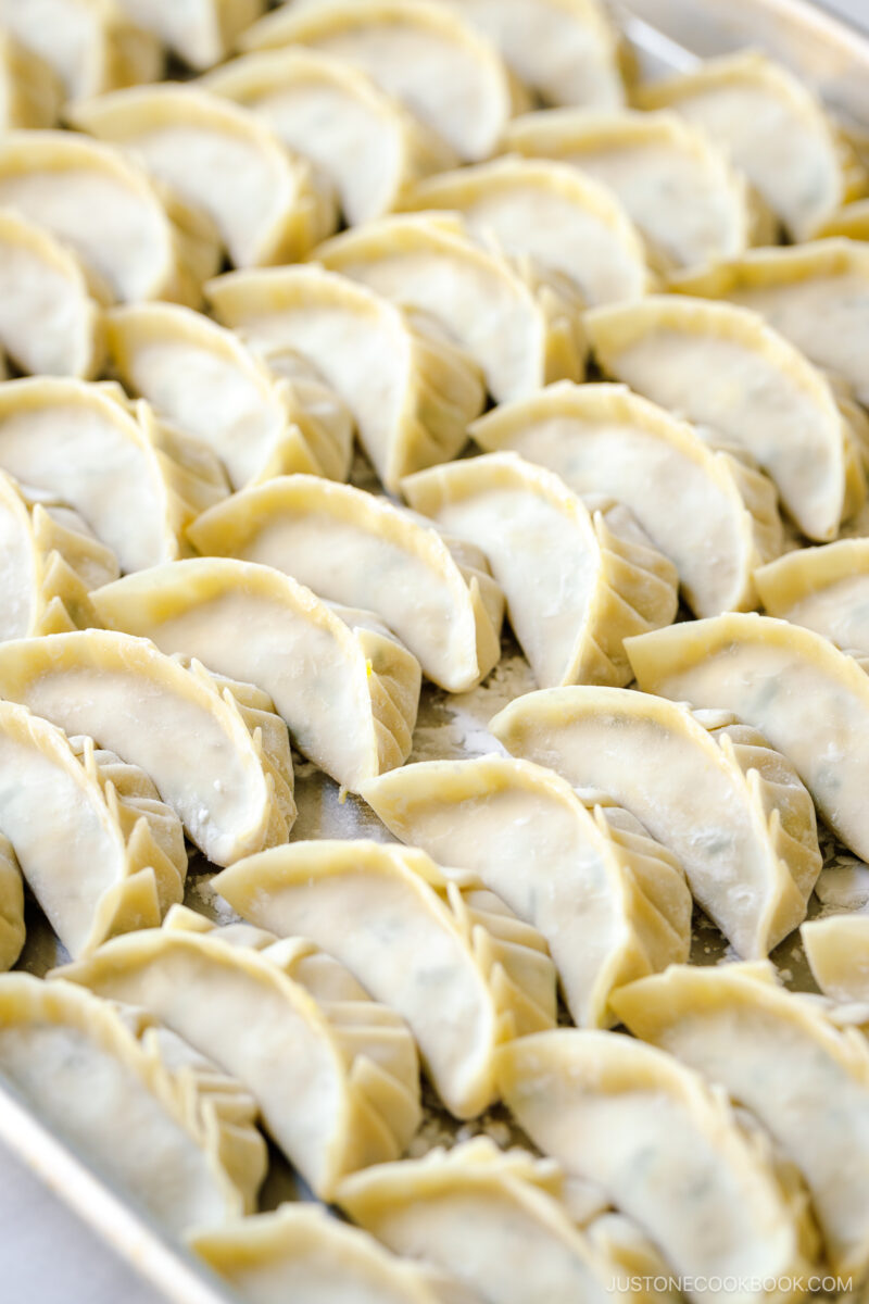 A baking sheet containing perfectly wrapped gyoza.